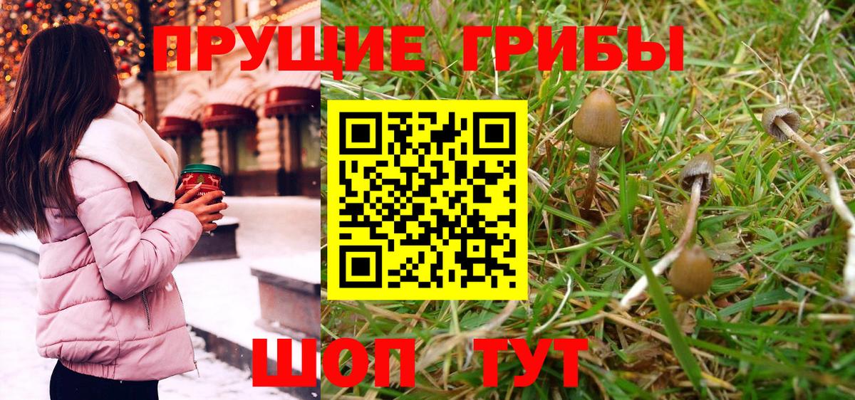 Галлюциногенные грибы Magic Shrooms  Псилоцибиновые грибы Magic Shrooms  Альметьевск  как найти закладки  Вход с VPN 