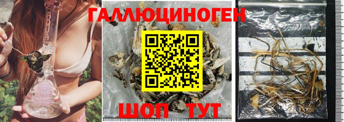 Псилоцибиновые грибы MAGIC MUSHROOMS Альметьевск